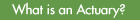 What is an Actuary
